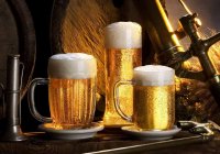 Bira Markaları ve Alkol Oranları (2017) 2