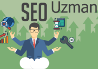 SEO Uzmanı